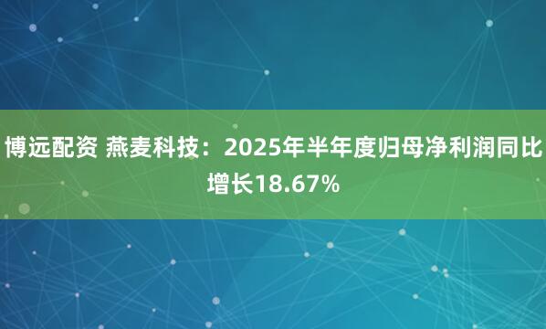 博远配资 燕麦科技：2025年半年度归母净利润同比增长18.67%